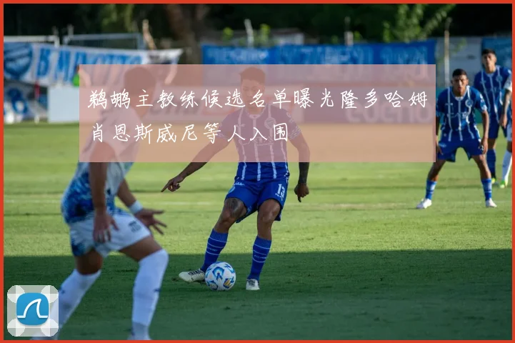 鹈鹕主教练候选名单曝光隆多哈姆肖恩斯威尼等人入围