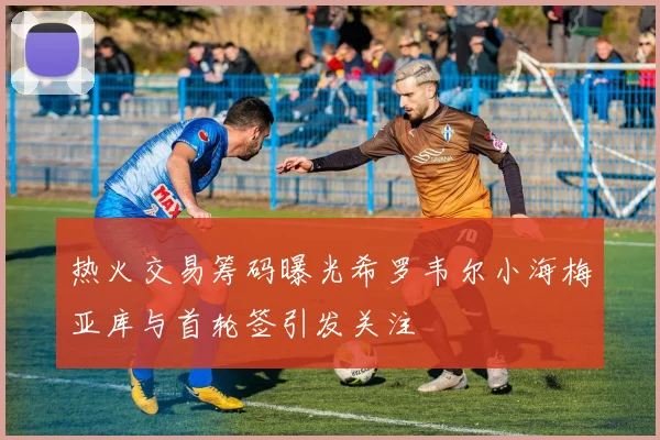 热火交易筹码曝光希罗韦尔小海梅亚库与首轮签引发关注