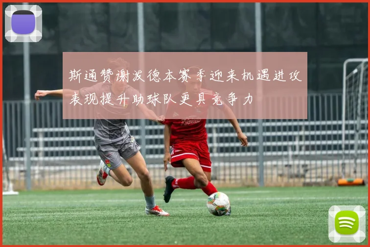 斯通赞谢泼德本赛季迎来机遇进攻表现提升助球队更具竞争力