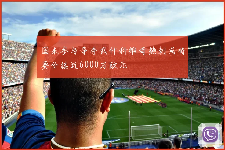 国米参与争夺武什科维奇热刺或将要价接近6000万欧元